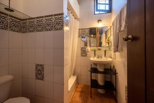 圣多明各埃尔比特里欧卡萨博物馆酒店的一间带水槽和卫生间的小浴室