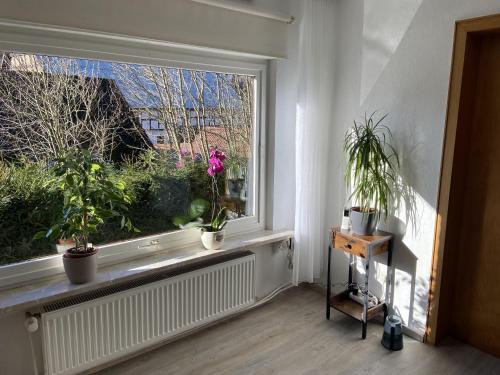 梅德巴赫Haus Waldesruh的一间窗户的房间,上面有盆栽植物