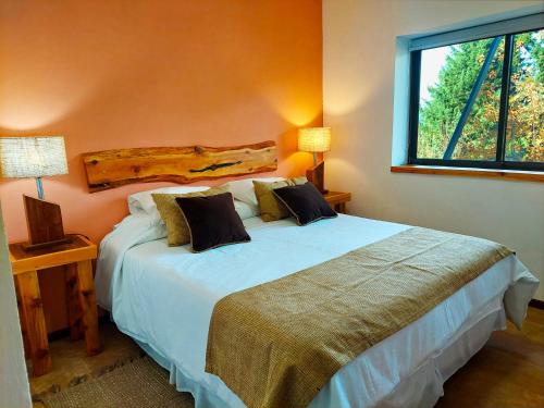 圣卡洛斯-德巴里洛切Tres Vistas的一间卧室,卧室内配有一张大床