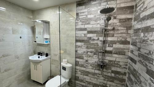 卡兹贝吉cozy apartments kazbegi的带淋浴、卫生间和盥洗盆的浴室