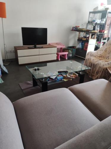 厄唐萨雷Appartement 2 chambres étang sale的客厅配有电视和玻璃茶几