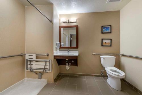 GoodlandComfort Inn & Suites的一间带卫生间和水槽的浴室