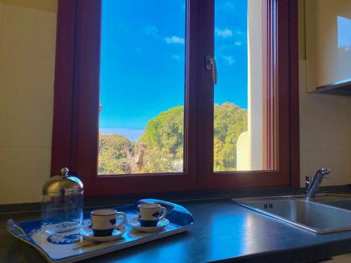 圣温琴佐Appartamento Giulia的橱窗厨房柜台上的两杯盘子
