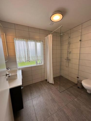 Stóra-SandfellLitla-Sandfell Guesthouse的带淋浴和卫生间的浴室以及窗户。