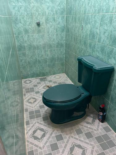 帕伦克Magnolia的浴室铺有瓷砖地板,设有绿色卫生间。