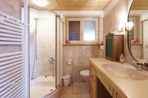 CavagnagoCasa Bubeck的一间带水槽、淋浴和卫生间的浴室