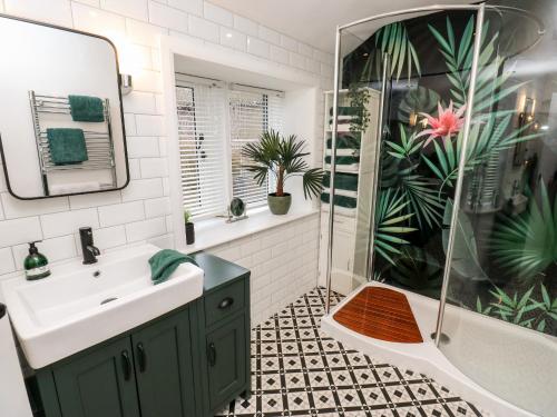 霍姆弗斯Fleece Cottage的一间带绿色水槽和淋浴的浴室