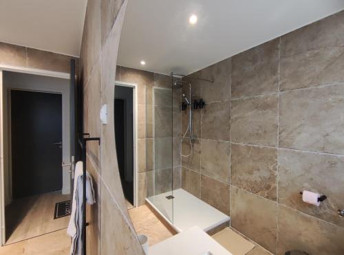 米卢斯Romantic Cocon Home in Mulhouse的带淋浴和卫生间的大型浴室