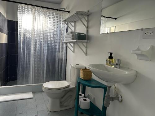 Santa Catalina IslandMiss Francia´s Home的白色的浴室设有卫生间和水槽。