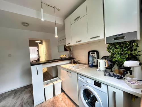 蒂米什瓦拉Sal Apart的厨房配有白色橱柜和一台洗衣机