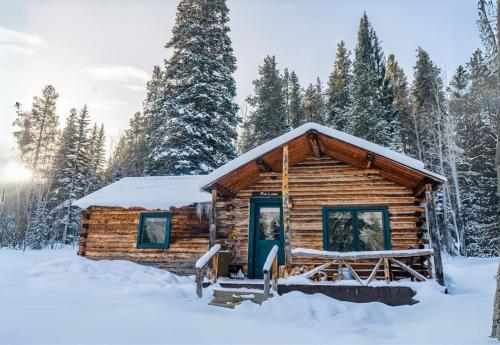 MeredithBeyul Retreat的雪地小木屋
