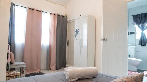 威廉斯塔德Rowy's appartement的一间带一张床、淋浴和卫生间的浴室