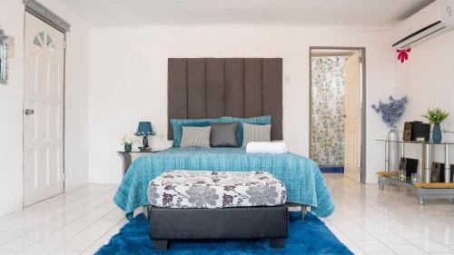 威廉斯塔德Rowy's appartement的一间卧室配有一张带蓝色毯子的大床