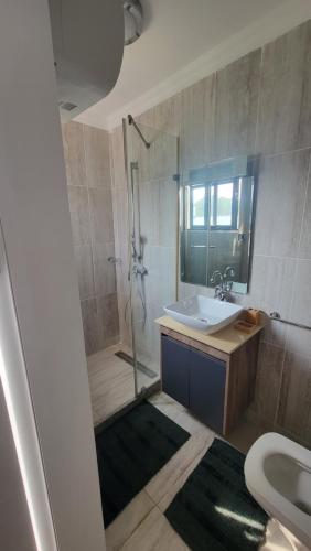 阿克拉Acasia Luxury Home Cantonment的带淋浴、盥洗盆和卫生间的浴室