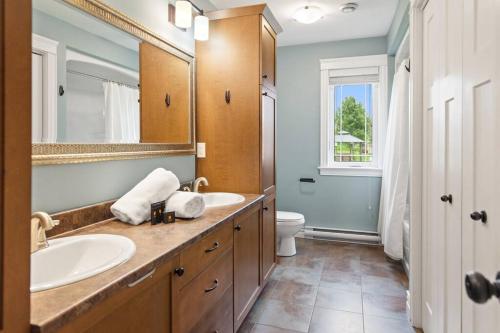 蒙克顿Le Cozy Clover的一间带水槽、卫生间和镜子的浴室