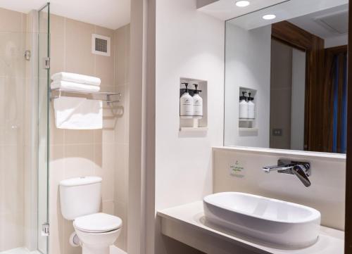 苏瓦苏瓦假日酒店的一间带水槽、卫生间和镜子的浴室
