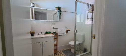布里斯班Guesthouse in fantastic location的浴室配有卫生间、盥洗盆和淋浴。