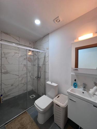 波拉波拉OTEMANU LODGE的带淋浴、卫生间和盥洗盆的浴室