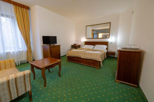 Topoľčianky托佩尔森基扎莫克酒店的酒店客房配有一张床、一张书桌和一台电视。