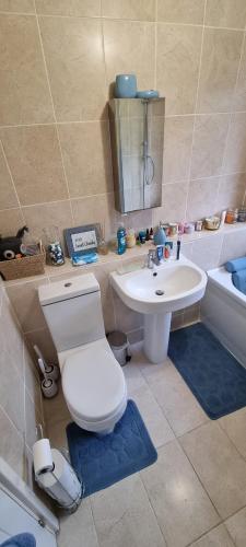 哈特菲尔德Comfortable and Convenient的浴室配有卫生间、盥洗盆和浴缸。