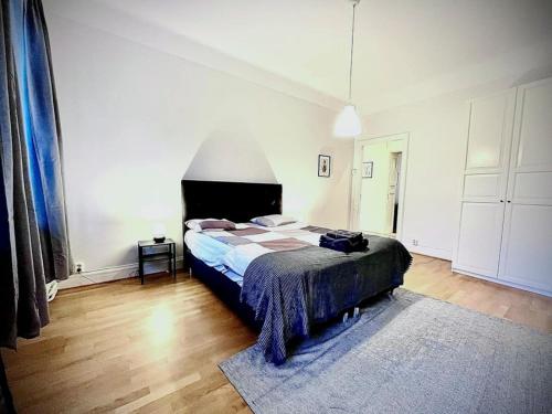 哥德堡Luxury Apartment In City Centre的一间卧室配有一张带蓝色毯子的床