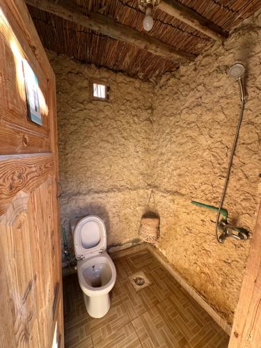 锡瓦Muhra Camp Siwa的一间带卫生间和淋浴的小浴室
