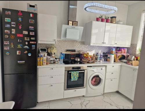 布鲁塞尔Diva lux的厨房配有冰箱和洗衣机。