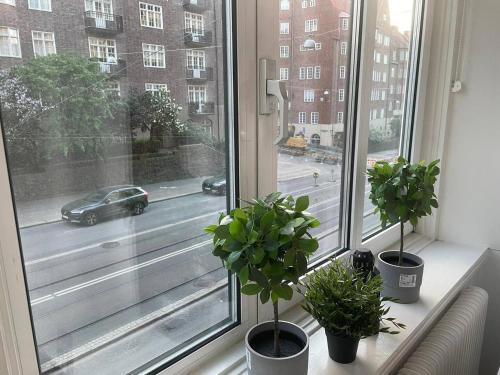 哥德堡Luxury Apartment In City Centre的窗台上有三盆植物的窗户