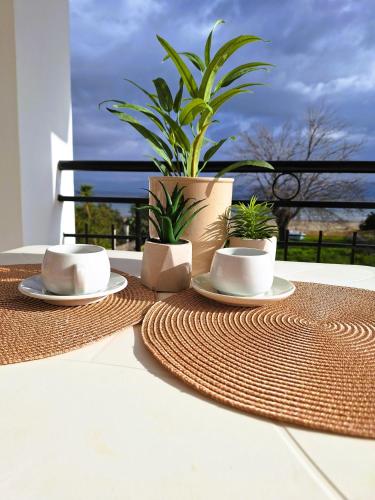 卡沃斯Cavos Sunrise Beach Apartments的桌子上两个杯子和盘子,上面有植物