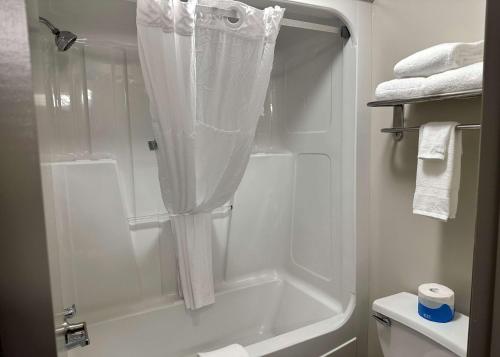 瓦尔多斯塔Days Inn by Wyndham Valdosta I-75的带淋浴和浴帘的浴室
