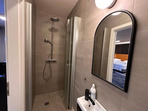雷克雅未克云游客栈的带淋浴、盥洗盆和镜子的浴室