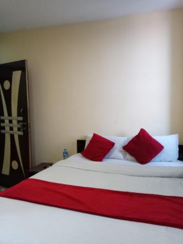 加德满都Hotel C O International的一张带红色和白色枕头的床