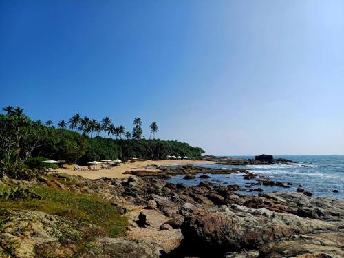 坦加拉Turtle Island Cabana的一片拥有岩石、海洋和棕榈树的海滩
