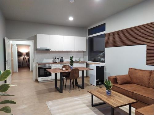 斯图加特Andris Apartments的厨房以及带沙发和桌子的客厅。