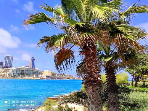 斯利马"Spirit of Malta" Historic Maltese Townhouse by the sea的棕榈树,享有海景