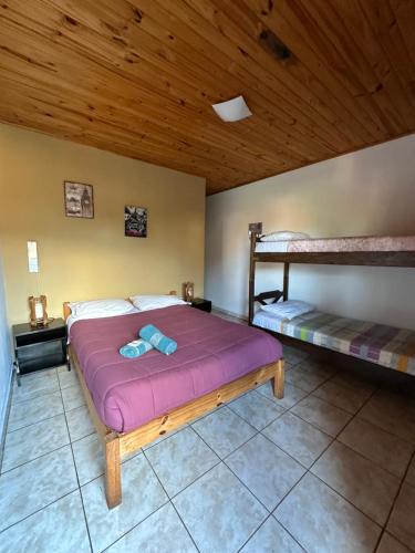 伊瓜苏港Tierra Viva的一间卧室配有一张床和两张双层床。