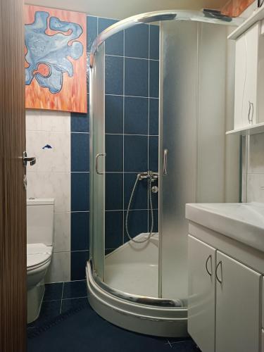 LazarevacPark的带淋浴、水槽和卫生间的浴室