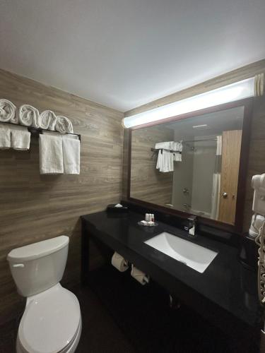 林赛Ramada by Wyndham Lindsay的一间带卫生间、水槽和镜子的浴室