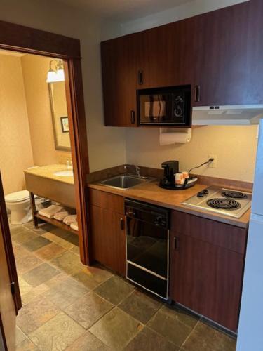 林肯市康福特套房林肯市酒店的厨房配有水槽、炉灶和微波炉