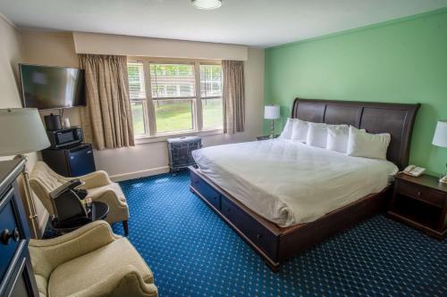 巴港美景旅馆的配有一张床和一把椅子的酒店客房