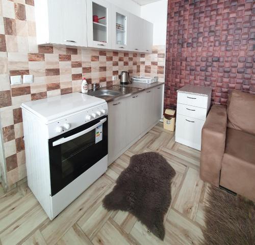 Popova ShapkaWinterfell Apartment Popova Shapka的厨房配有炉灶、水槽和沙发。