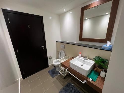 艾恩Lodges的一间带水槽、卫生间和镜子的浴室