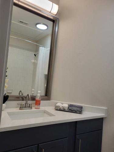 达拉斯Cozy 1bedrm/1bed/air mattress的一间带水槽和镜子的浴室