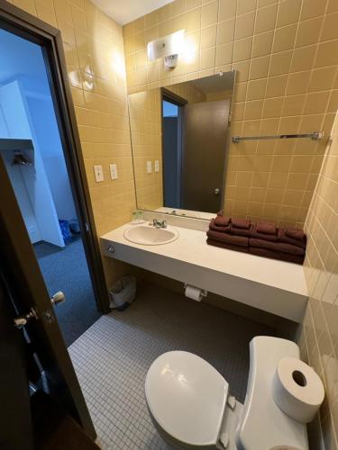 MinnedosaMinnedosa Inn的一间带卫生间、水槽和镜子的浴室