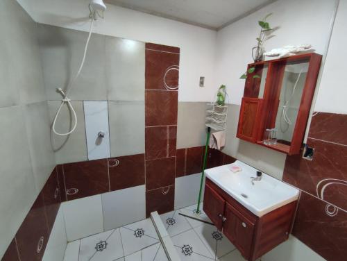 科恰班巴Acogedora e independiente casita - La Promotora的一间带水槽和淋浴的浴室