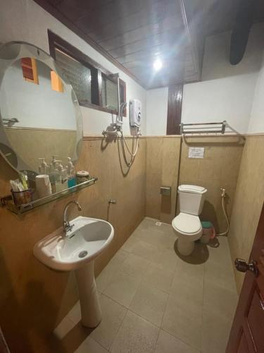 琅勃拉邦Ouis NamKhan Place House的一间带水槽、卫生间和镜子的浴室