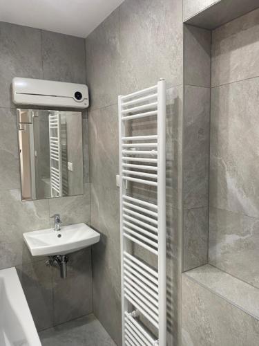 皮耶什佳尼Rodinný dom Auris的一间带水槽、镜子和淋浴的浴室