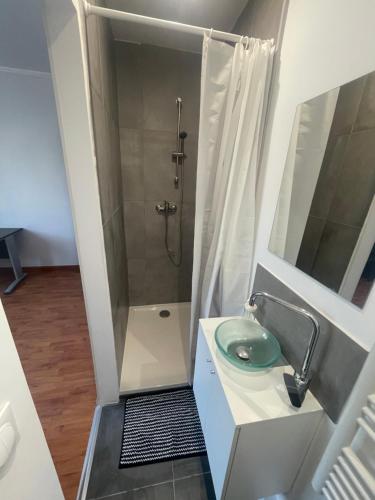 圣莫代福塞Grande maison tout confort - 100m RER A - Paris - Disney的带淋浴和盥洗盆的小浴室