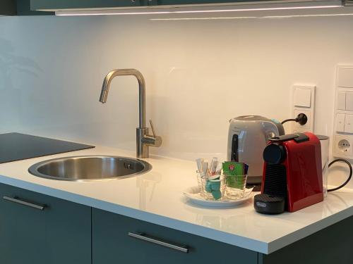 林茨Ebelsberger Terrassen的厨房台面上设有水槽和厨房柜台。