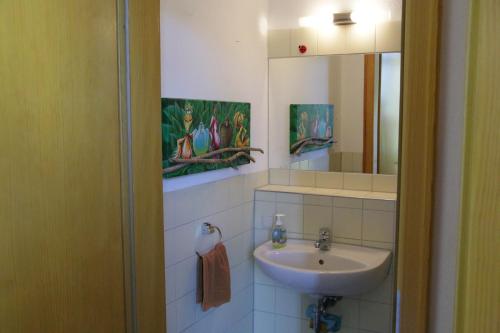 德累斯顿克罗兹施花园公寓的一间带水槽和镜子的浴室